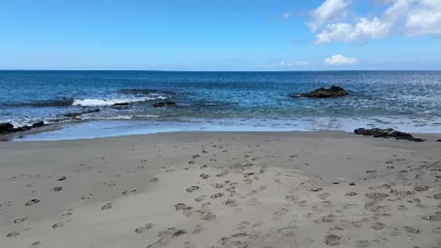 Wetting on beach