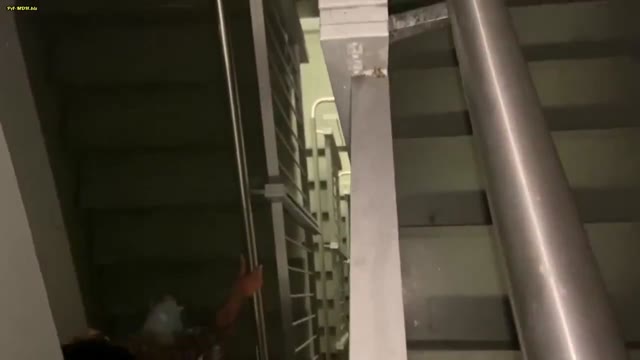 Video by Robert Oscar