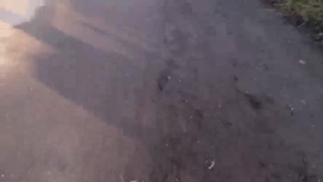 Imported video