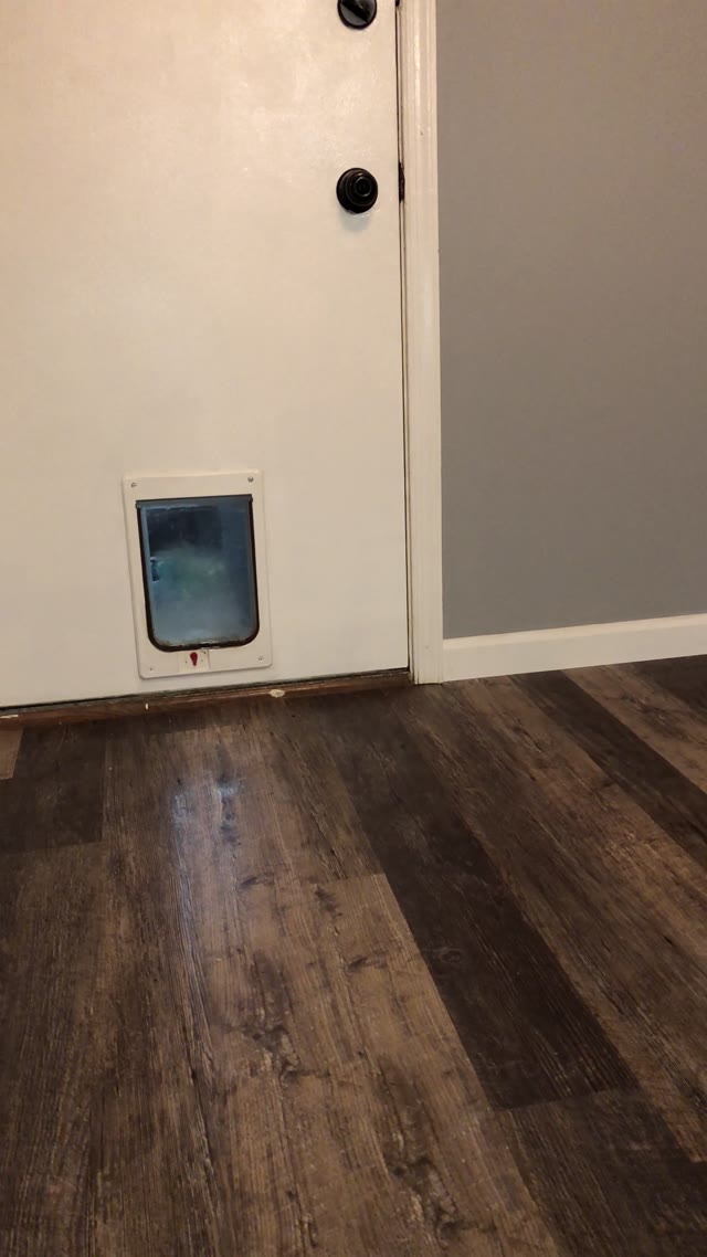 Jeans soaking in kitchen