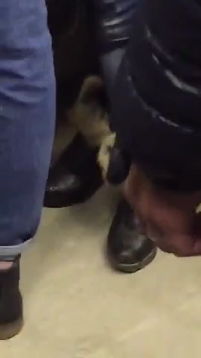 Drunk girl wetting pants on metro