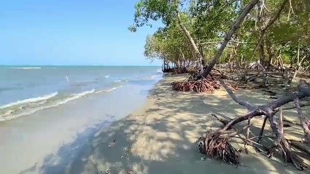 Latina girl is lost on a beach and she pees