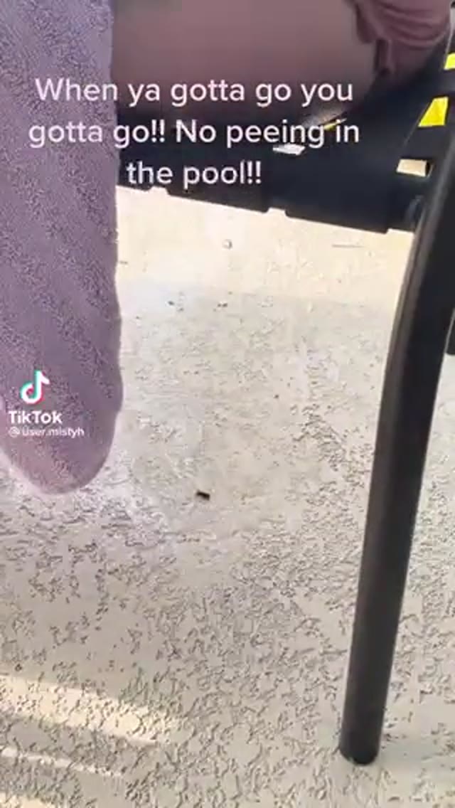 TikTok Pee 3