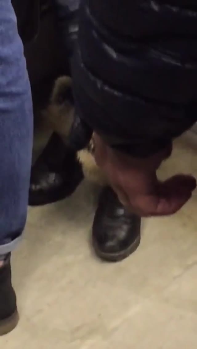 Pee Accident In Subway (Longer Version)