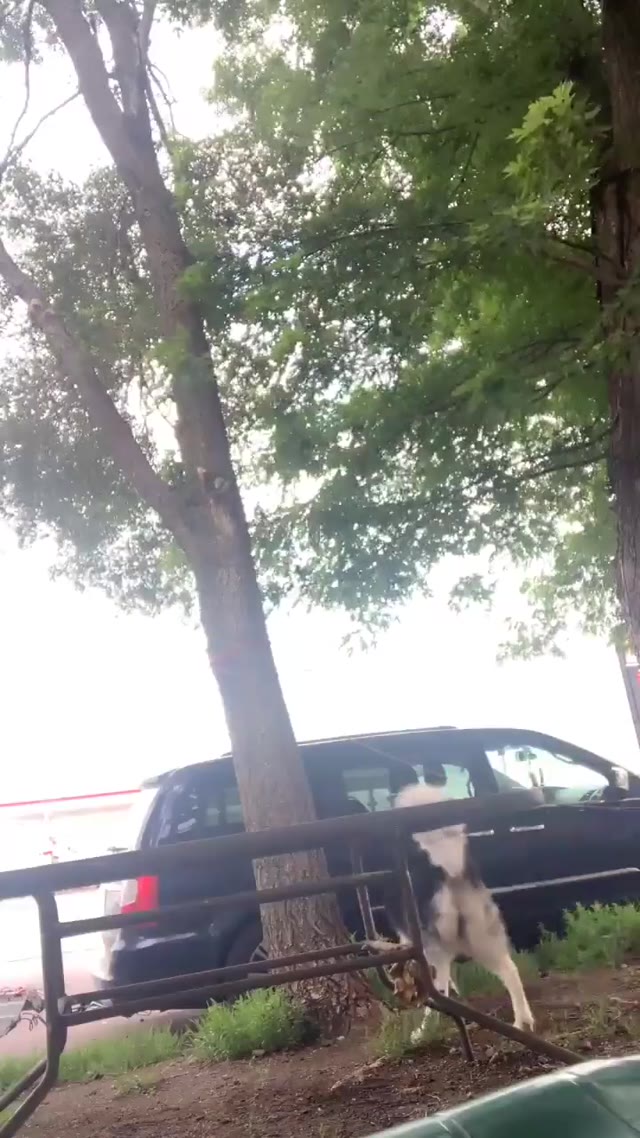Sexy country girl desperate hissy pee on live (sound)